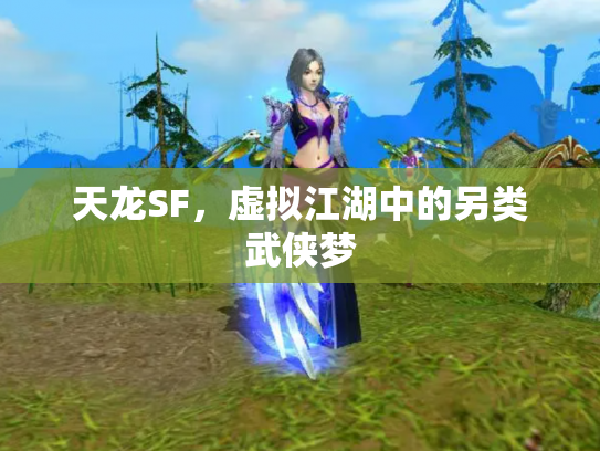 天龙SF，虚拟江湖中的另类武侠梦
