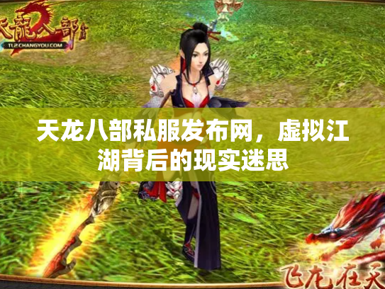 天龙八部私服发布网，虚拟江湖背后的现实迷思
