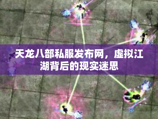 天龙八部私服发布网，虚拟江湖背后的现实迷思