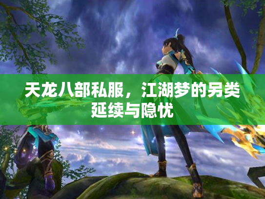 天龙八部私服，江湖梦的另类延续与隐忧