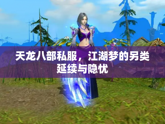 天龙八部私服，江湖梦的另类延续与隐忧