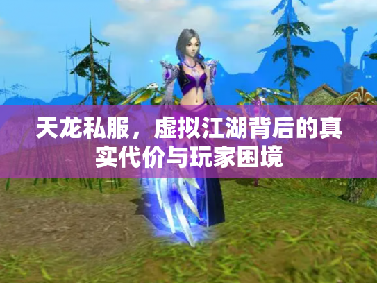 天龙私服，虚拟江湖背后的真实代价与玩家困境
