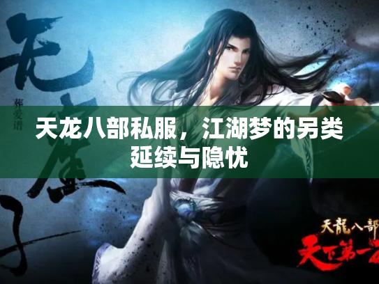 天龙八部私服，江湖梦的另类延续与隐忧