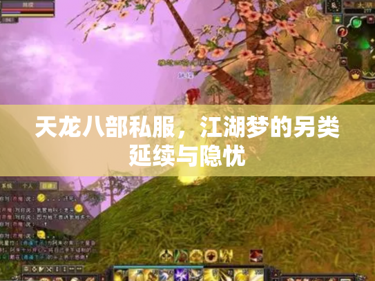 天龙八部私服，江湖梦的另类延续与隐忧