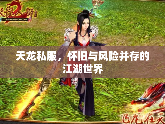 天龙私服，怀旧与风险并存的江湖世界