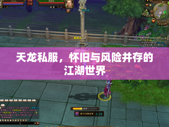 天龙私服，怀旧与风险并存的江湖世界