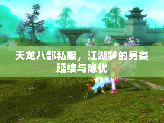 天龙八部私服，江湖梦的另类延续与隐忧