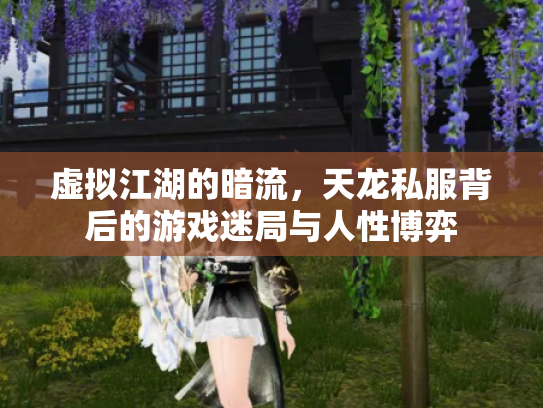 虚拟江湖的暗流，天龙私服背后的游戏迷局与人性博弈