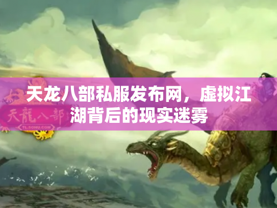 天龙八部私服发布网，虚拟江湖背后的现实迷雾
