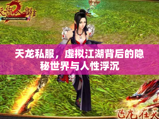 天龙私服，虚拟江湖背后的隐秘世界与人性浮沉