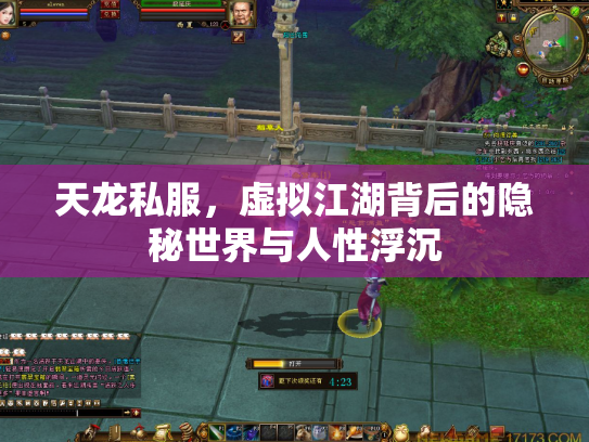 天龙私服，虚拟江湖背后的隐秘世界与人性浮沉