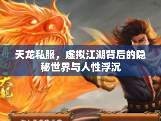 天龙私服，虚拟江湖背后的隐秘世界与人性浮沉