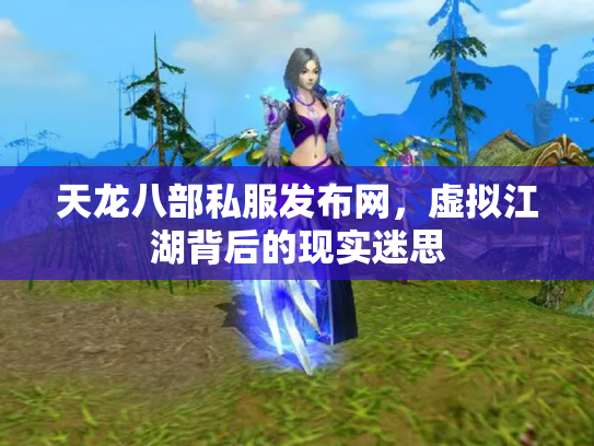 天龙八部私服发布网，虚拟江湖背后的现实迷思