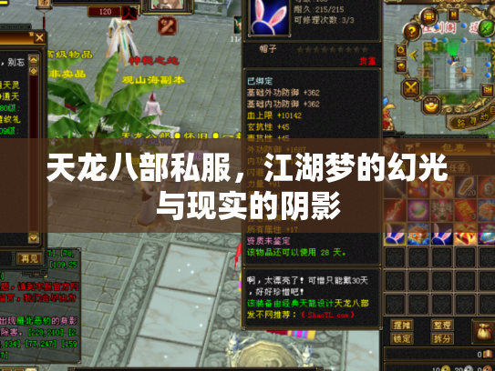 天龙八部私服，江湖梦的幻光与现实的阴影