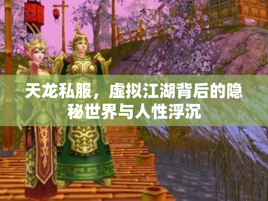 天龙私服，虚拟江湖背后的隐秘世界与人性浮沉