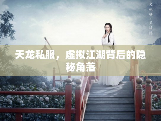 天龙私服，虚拟江湖背后的隐秘角落