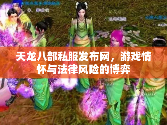 天龙八部私服发布网，游戏情怀与法律风险的博弈
