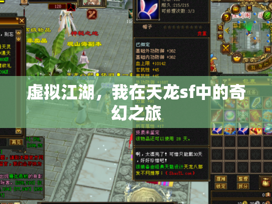 虚拟江湖，我在天龙sf中的奇幻之旅