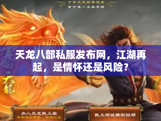 天龙八部私服发布网，江湖再起，是情怀还是风险？
