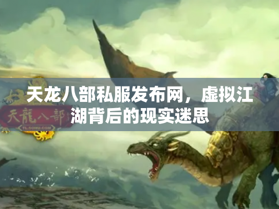 天龙八部私服发布网，虚拟江湖背后的现实迷思