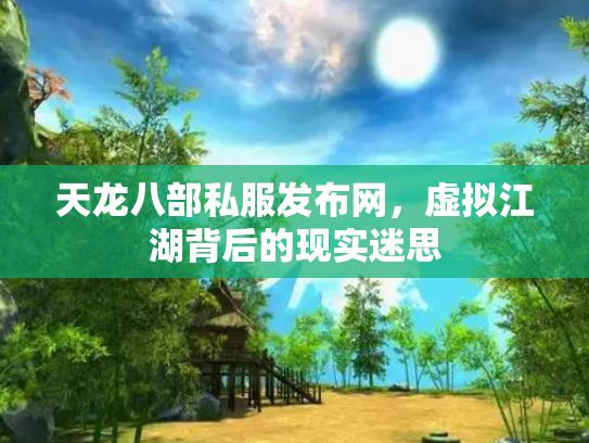 天龙八部私服发布网，虚拟江湖背后的现实迷思