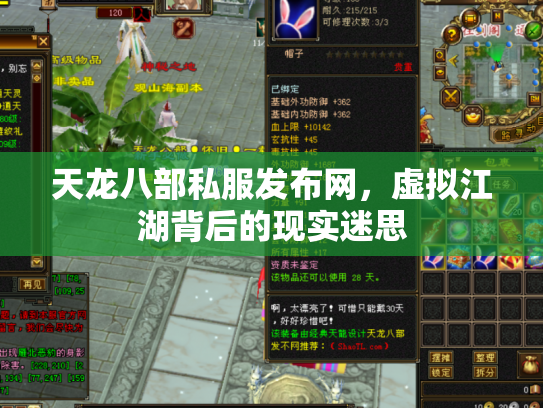 天龙八部私服发布网，虚拟江湖背后的现实迷思