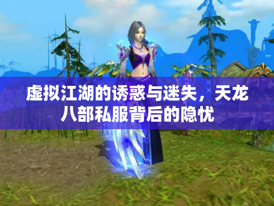 虚拟江湖的诱惑与迷失，天龙八部私服背后的隐忧