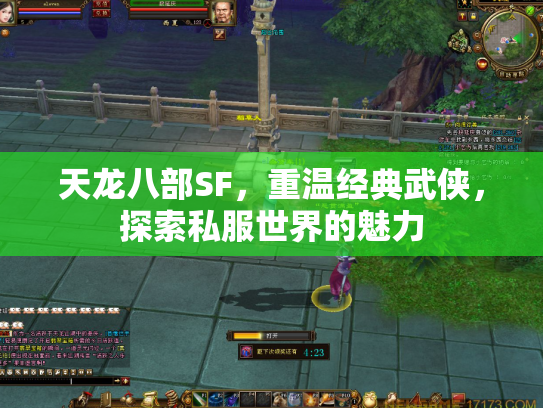 天龙八部SF，重温经典武侠，探索私服世界的魅力