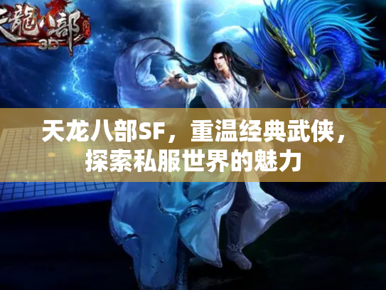 天龙八部SF，重温经典武侠，探索私服世界的魅力