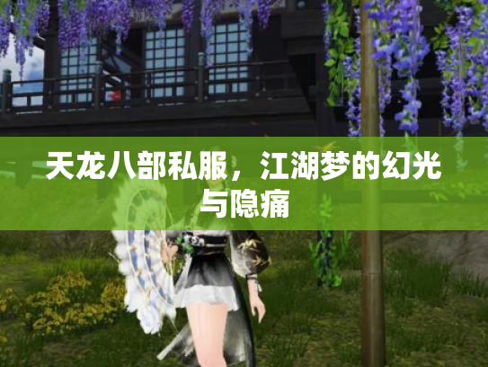 天龙八部私服，江湖梦的幻光与隐痛