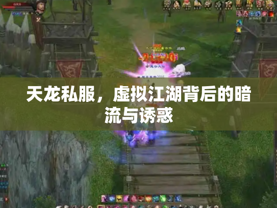天龙私服，虚拟江湖背后的暗流与诱惑