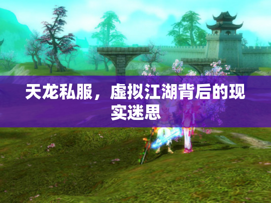 天龙私服，虚拟江湖背后的现实迷思