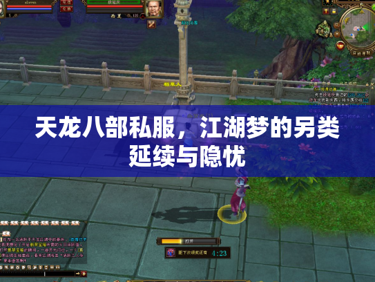 天龙八部私服，江湖梦的另类延续与隐忧