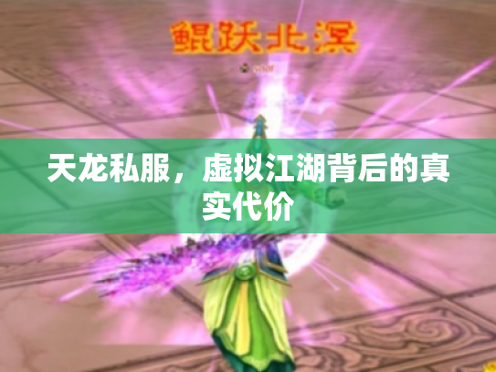 天龙私服，虚拟江湖背后的真实代价
