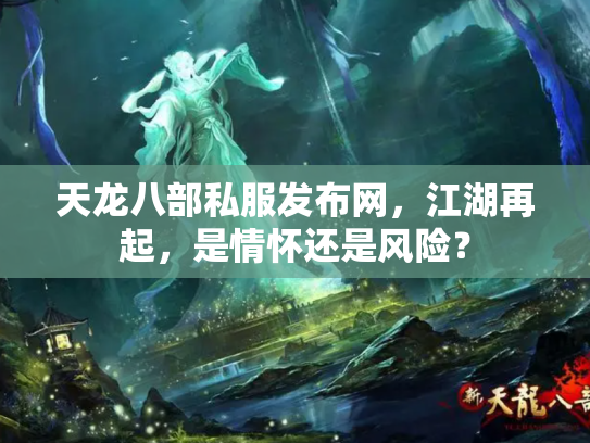 天龙八部私服发布网，江湖再起，是情怀还是风险？
