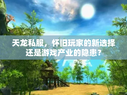 天龙私服，怀旧玩家的新选择还是游戏产业的隐患？
