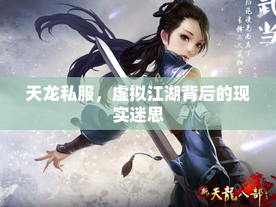 天龙私服，虚拟江湖背后的现实迷思