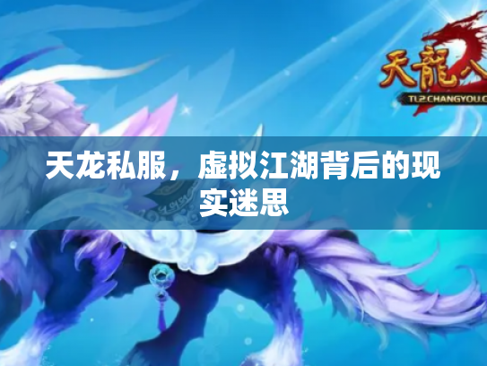 天龙私服，虚拟江湖背后的现实迷思