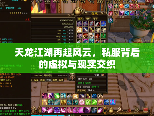 天龙江湖再起风云，私服背后的虚拟与现实交织