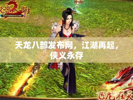 天龙八部发布网，江湖再起，侠义永存