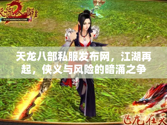 天龙八部私服发布网，江湖再起，侠义与风险的暗涌之争