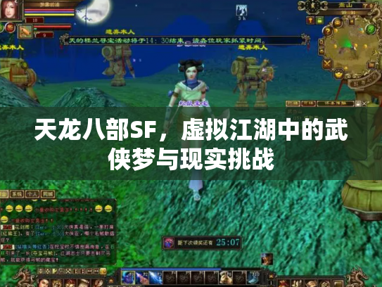天龙八部SF，虚拟江湖中的武侠梦与现实挑战