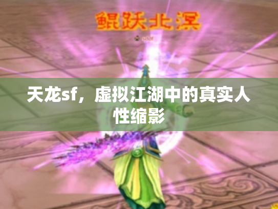 天龙sf，虚拟江湖中的真实人性缩影
