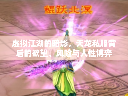虚拟江湖的暗影，天龙私服背后的欲望、风险与人性博弈