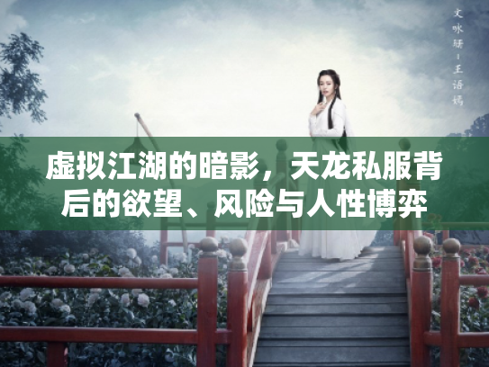虚拟江湖的暗影，天龙私服背后的欲望、风险与人性博弈