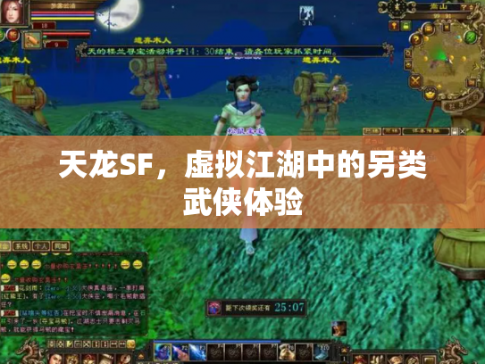 天龙SF，虚拟江湖中的另类武侠体验