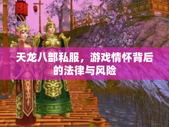 天龙八部私服，游戏情怀背后的法律与风险