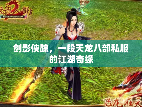 剑影侠踪，一段天龙八部私服的江湖奇缘