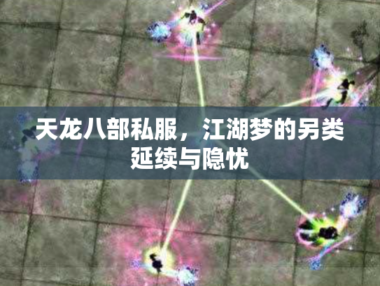 天龙八部私服，江湖梦的另类延续与隐忧