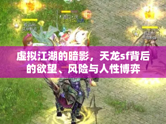 虚拟江湖的暗影，天龙sf背后的欲望、风险与人性博弈